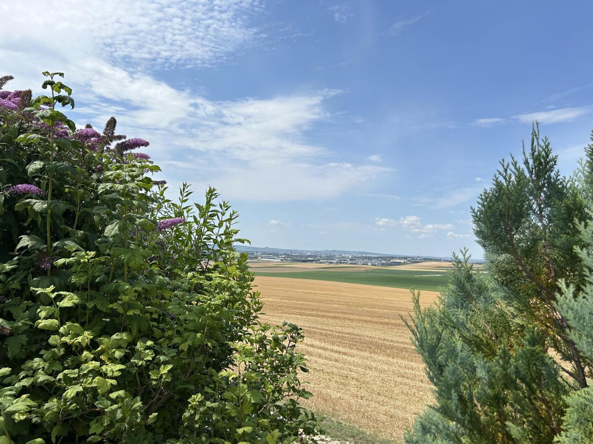 Happy Villa Cernay-les-Reims Eksteriør billede